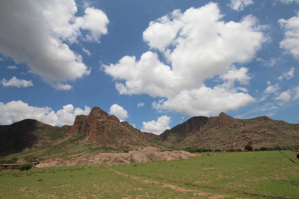 IMG 0417