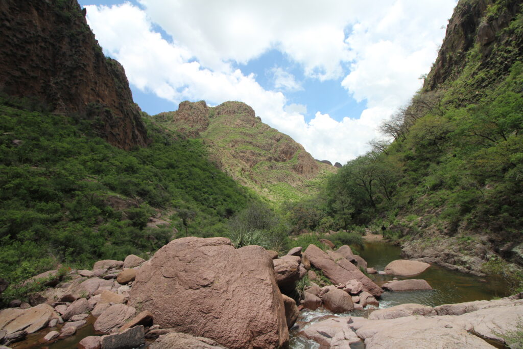IMG 0582