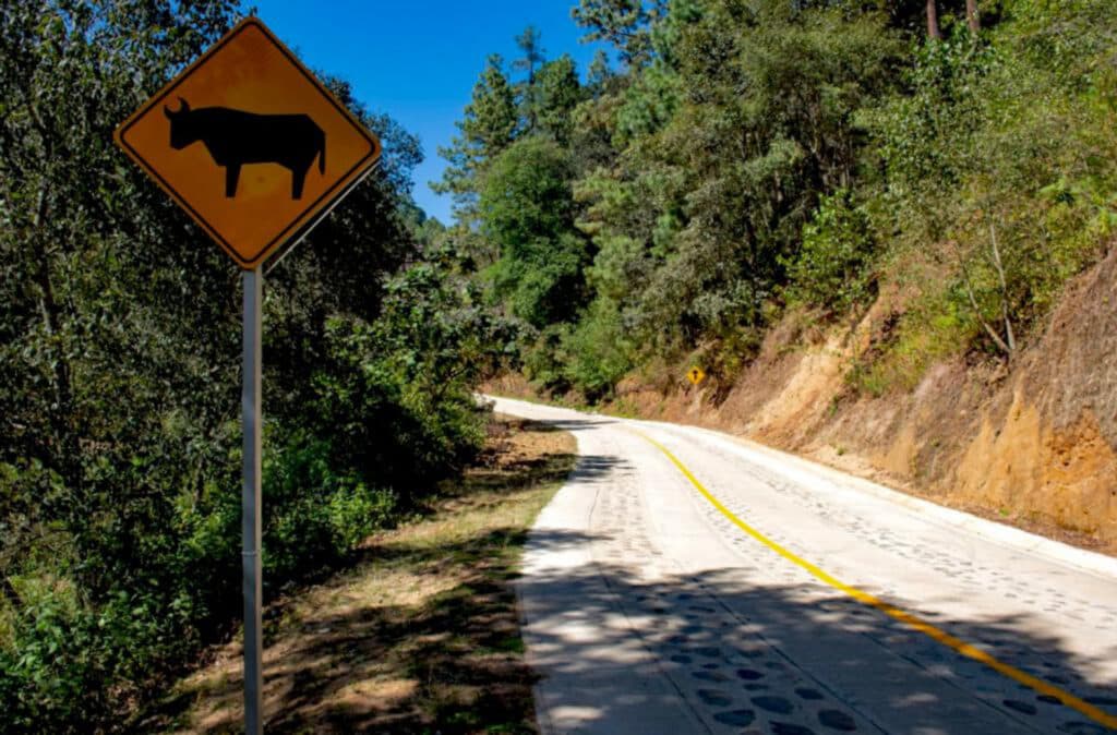 camino concreto