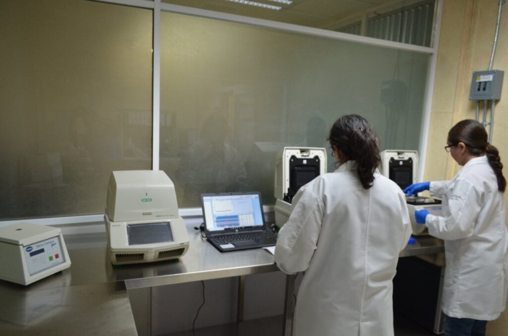 repunte casos covid