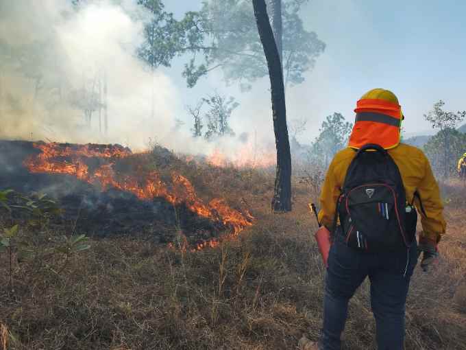 conafor incendios forestales la nina