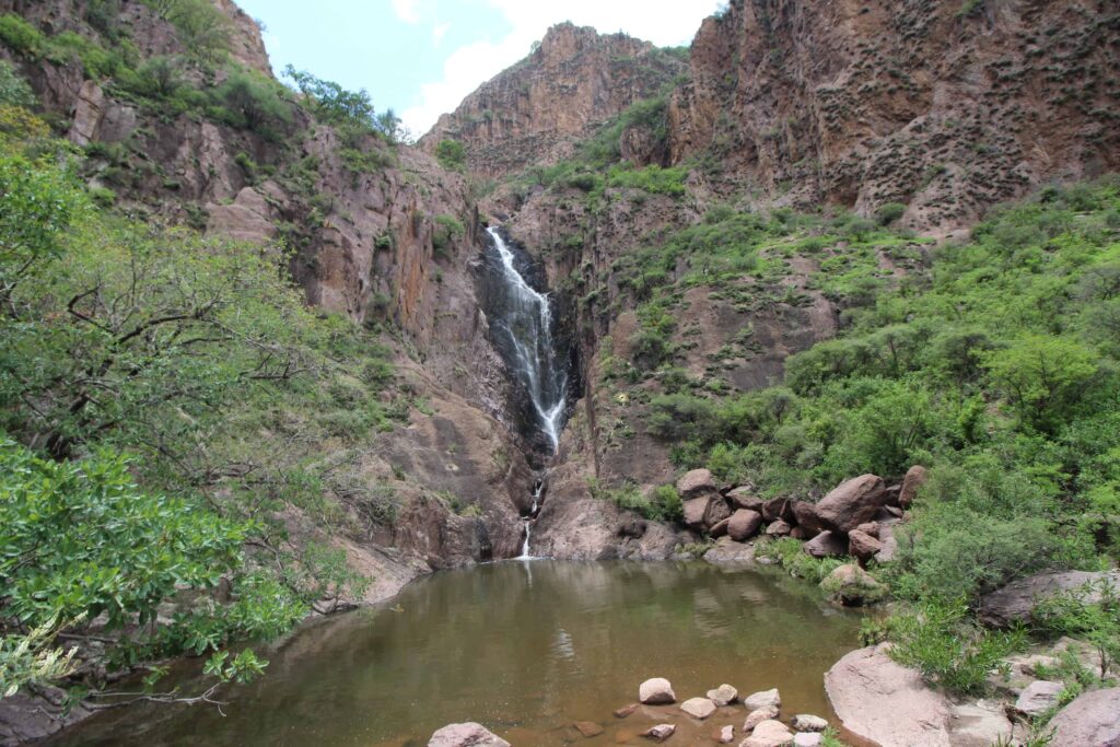 IMG 0595