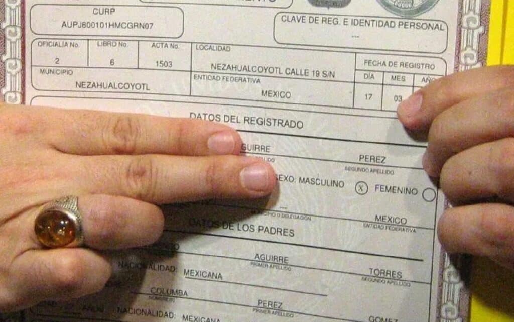 documentos falsos
