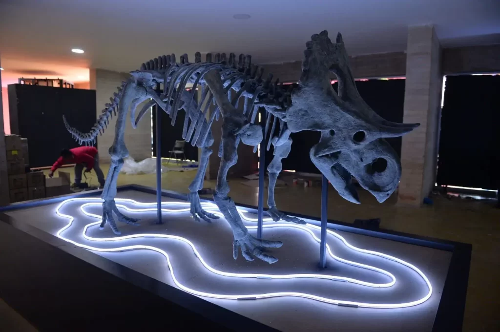 Museo Bebeleche de Durango inaugura exposición de dinosaurios animatrónicos