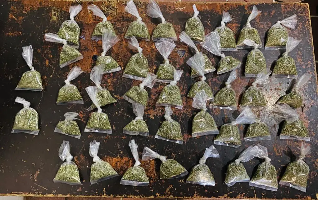 Joven de Nuevo Ideal es detenido con 42 bolsitas de mariguana