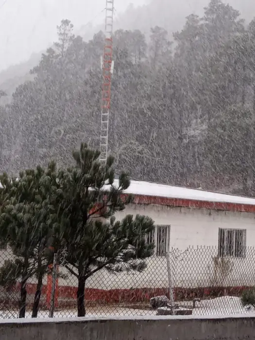 Bajo un paisaje invernal, 20 comunidades de Guanacevi y Tepehuanes despertaron cubiertas de nieve