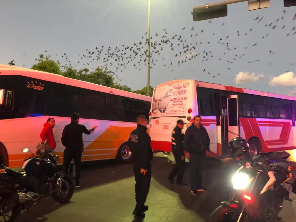 Terrible accidente de dos camiones deja 16 personas lesionadas en Durango