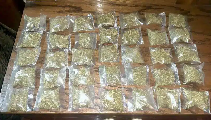 Policia Estatal detiene a hombre con marihuana en Nuevo Ideal1