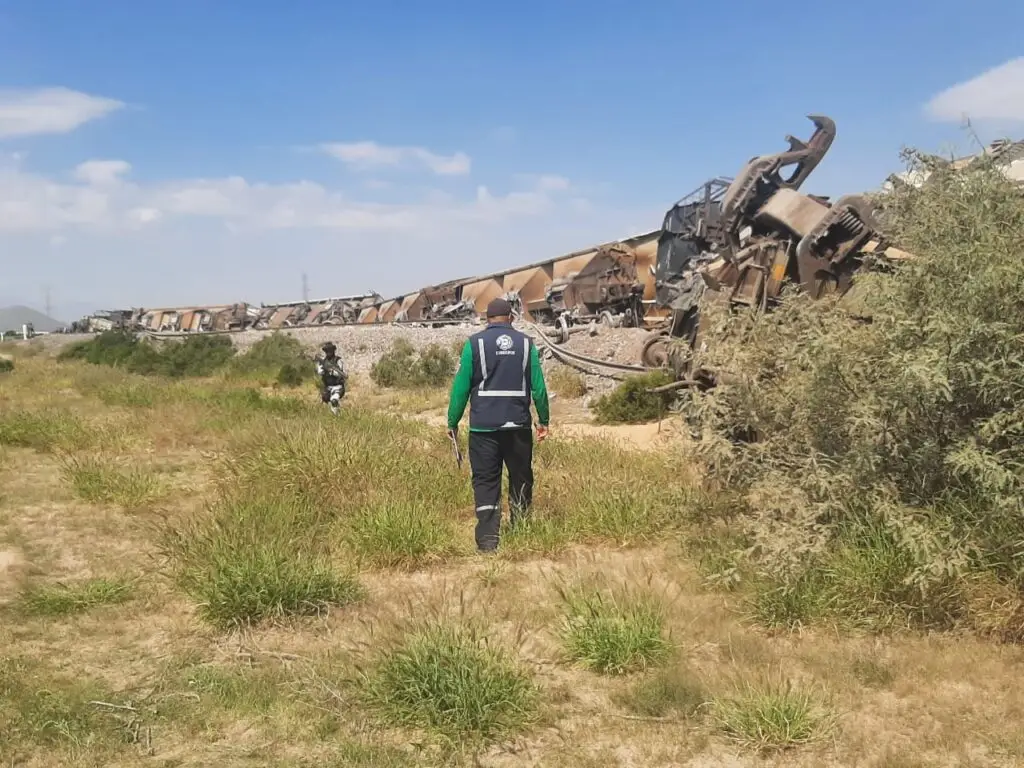 Tren carguero descarrila en Lerdo con 24 vagones de trigo