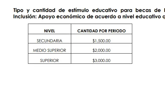 Becas Académicos y de inclusión