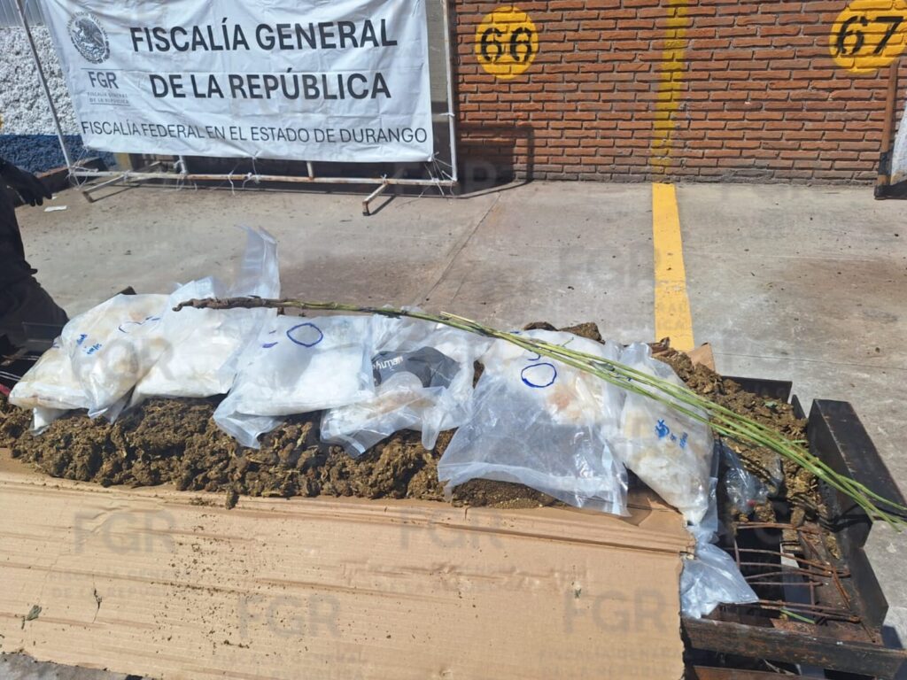 La FGR incinera más de 35 kilos de droga en Durango en un operativo vinculado a varias causas federales 1 La FGR incinera más de 35 kilos de droga en Durango en un operativo vinculado a varias causas federales1