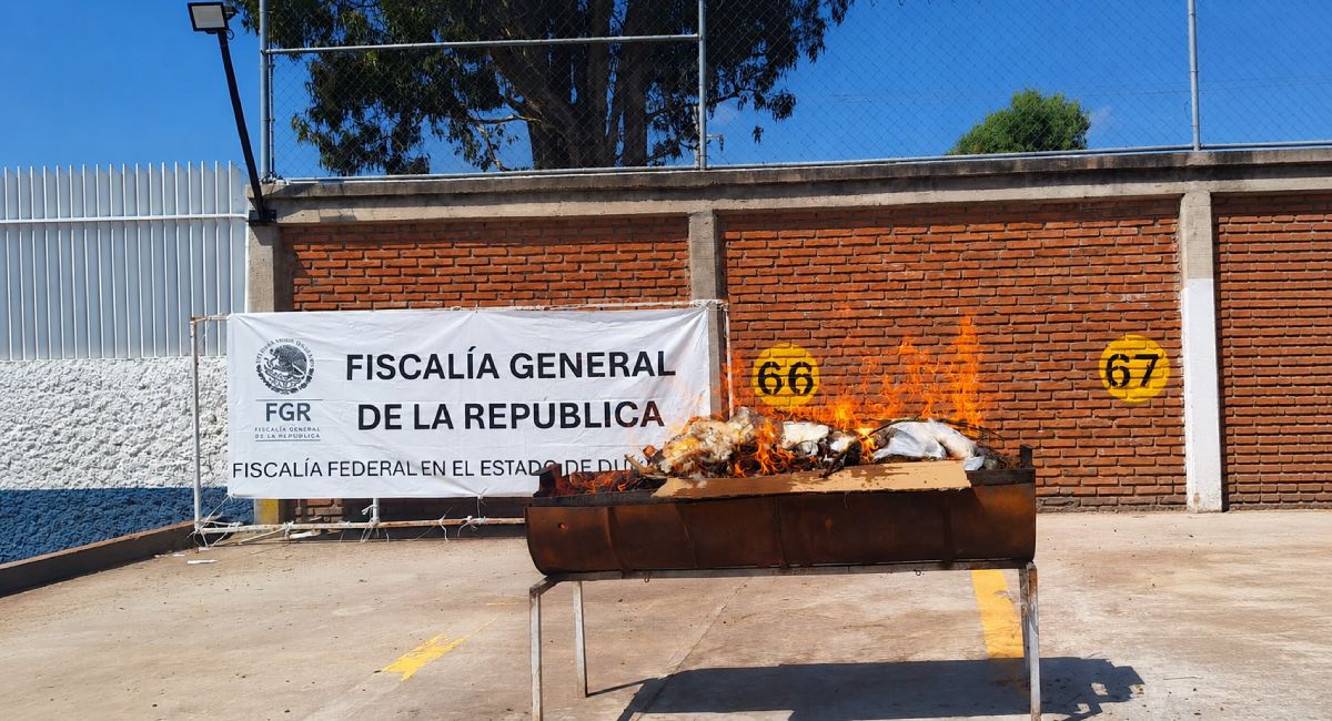 La FGR incinera más de 35 kilos de droga en Durango en un operativo vinculado a varias causas federales