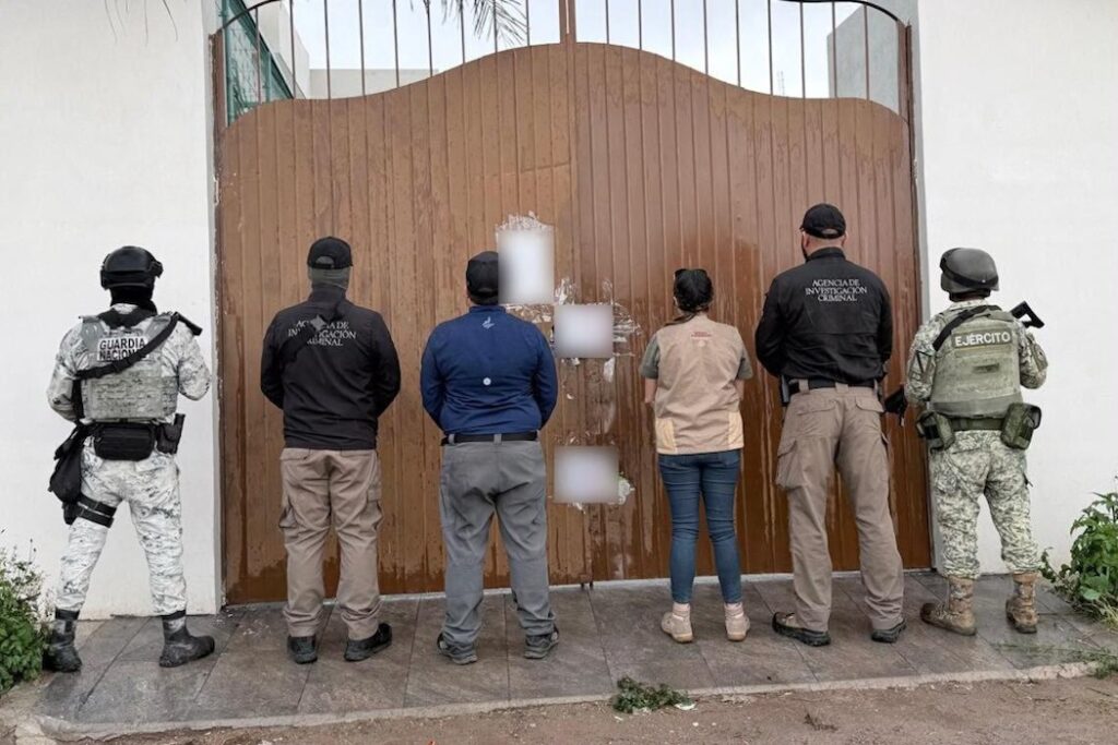 Aseguran dos tigres blancos en Durango