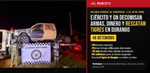 Ejército, Guardia Nacional y FGR reportan 121 armas, 12 millones de pesos y el rescate de tres tigres de Bengala en Durango