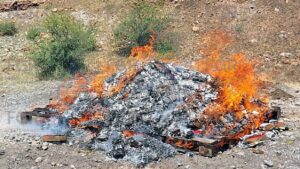 FGR incinera más de 73 kilos de narcóticos en Durango