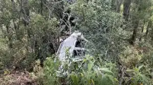 Identifican a hombre que murió tras volcadura provocada presuntamente por abejas